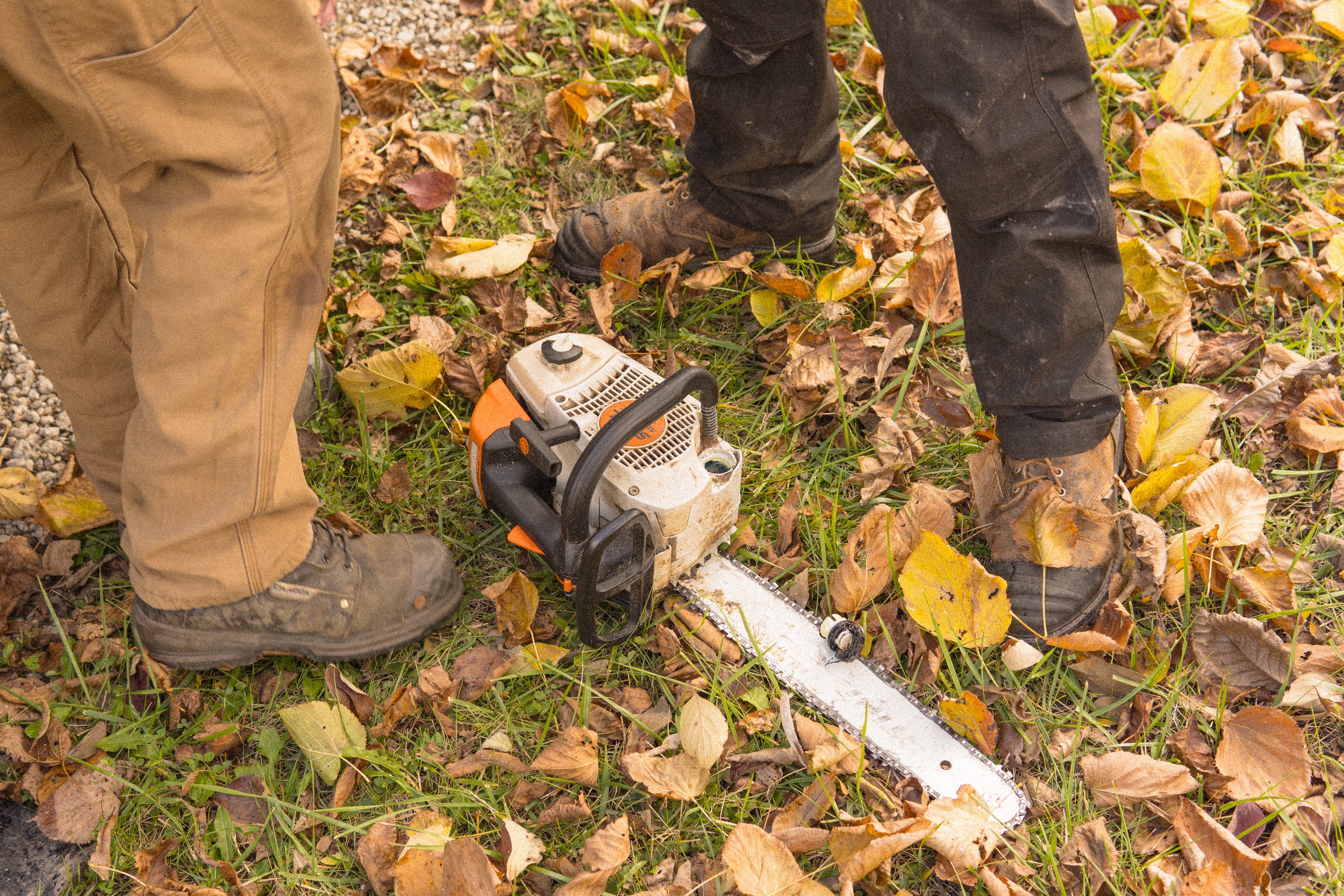 Tree Service Project 5